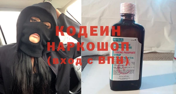 индика Няндома