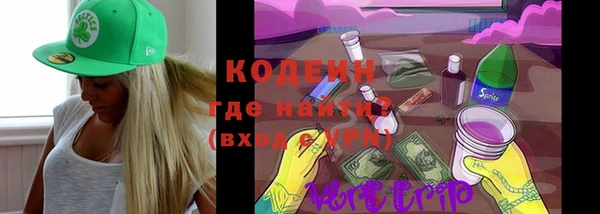 дживик Осинники