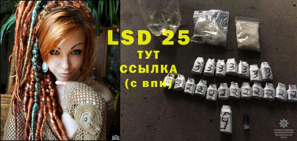 дживик Осинники