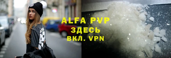 индика Няндома