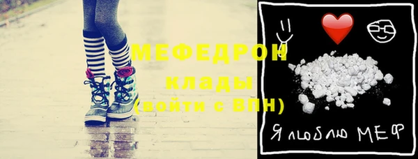 индика Няндома