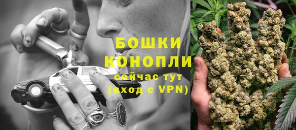 эйфоретик Осташков