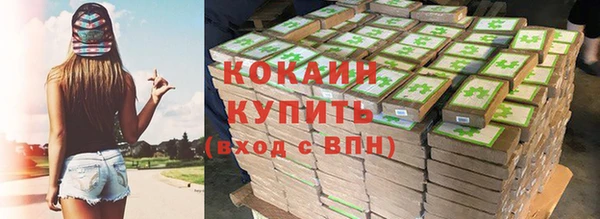 дживик Осинники