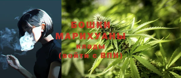 дживик Осинники