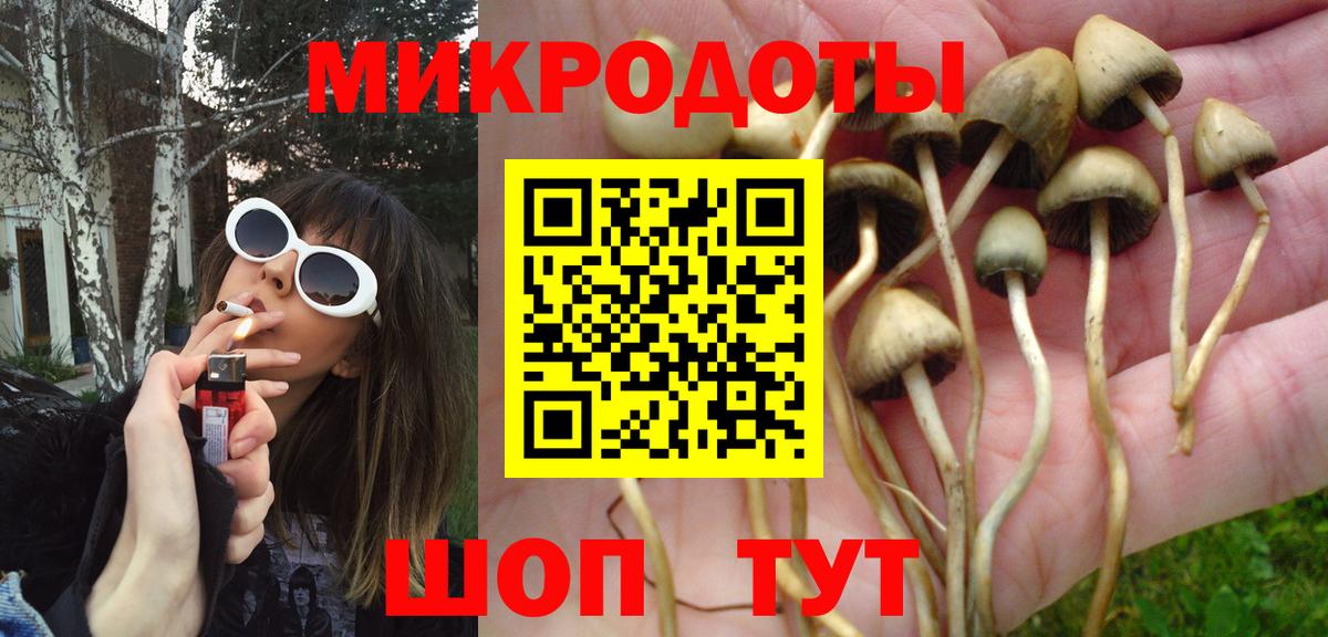 Галлюциногенные грибы ЛСД Куйбышев