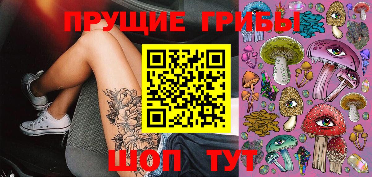 купить  сайты  Вход с VPN  Куйбышев  Галлюциногенные грибы мухоморы  Галлюциногенные грибы Psilocybe 